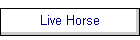 Live Horse